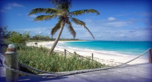 palm and beach frnt page http://www.islandtimeeleu.com/